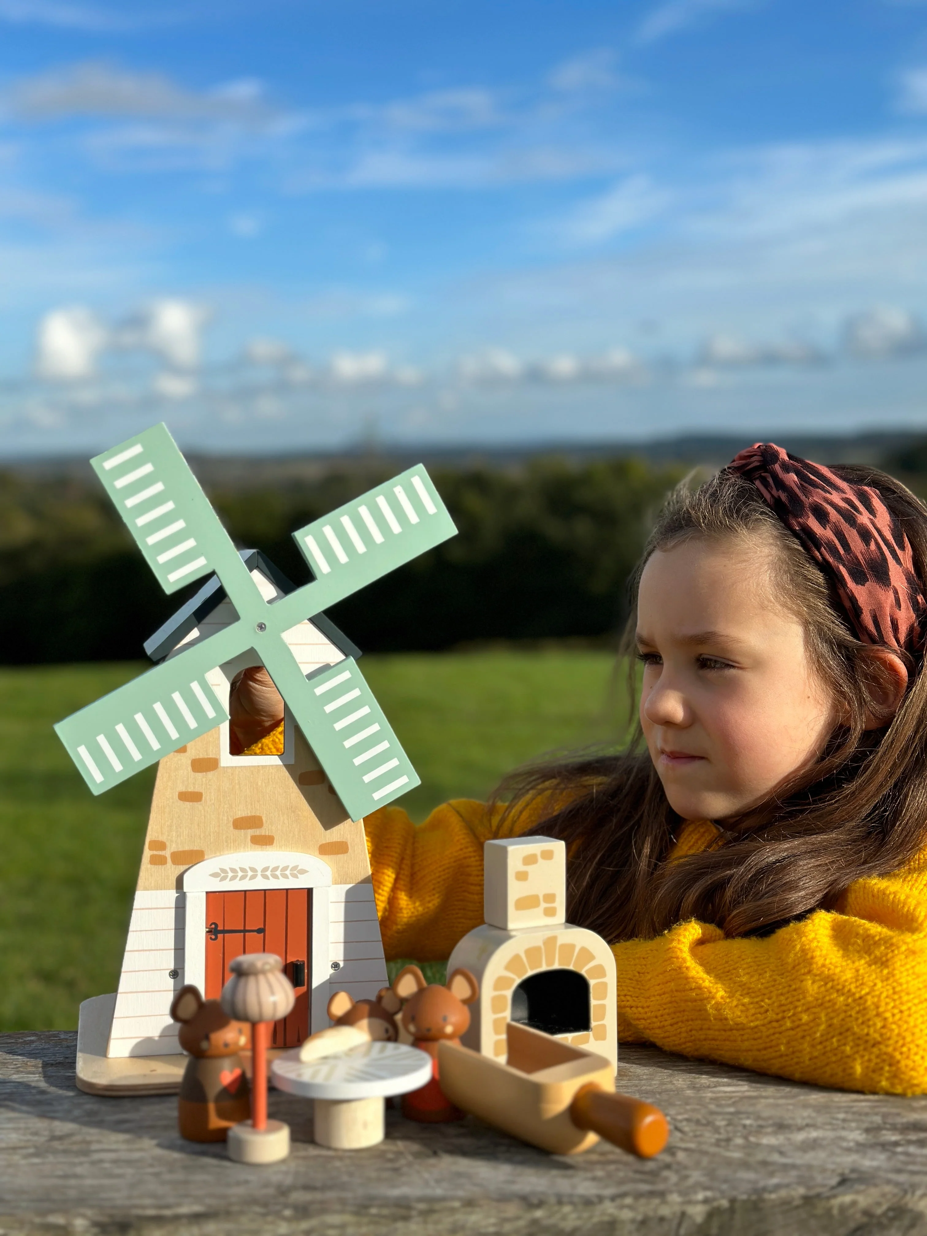 Penny Windmill - Image 6