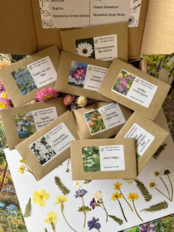 Perfect for Pressing Seed Box plus Wooden Flower Press - Image 5
