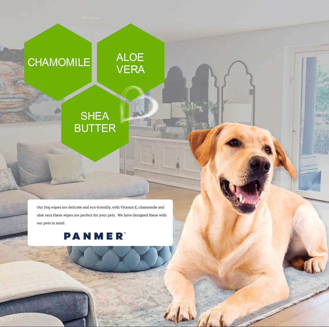 Pet Wipes For Dogs and All Pets Hypoallergenic Unscented Wipes - Image 2