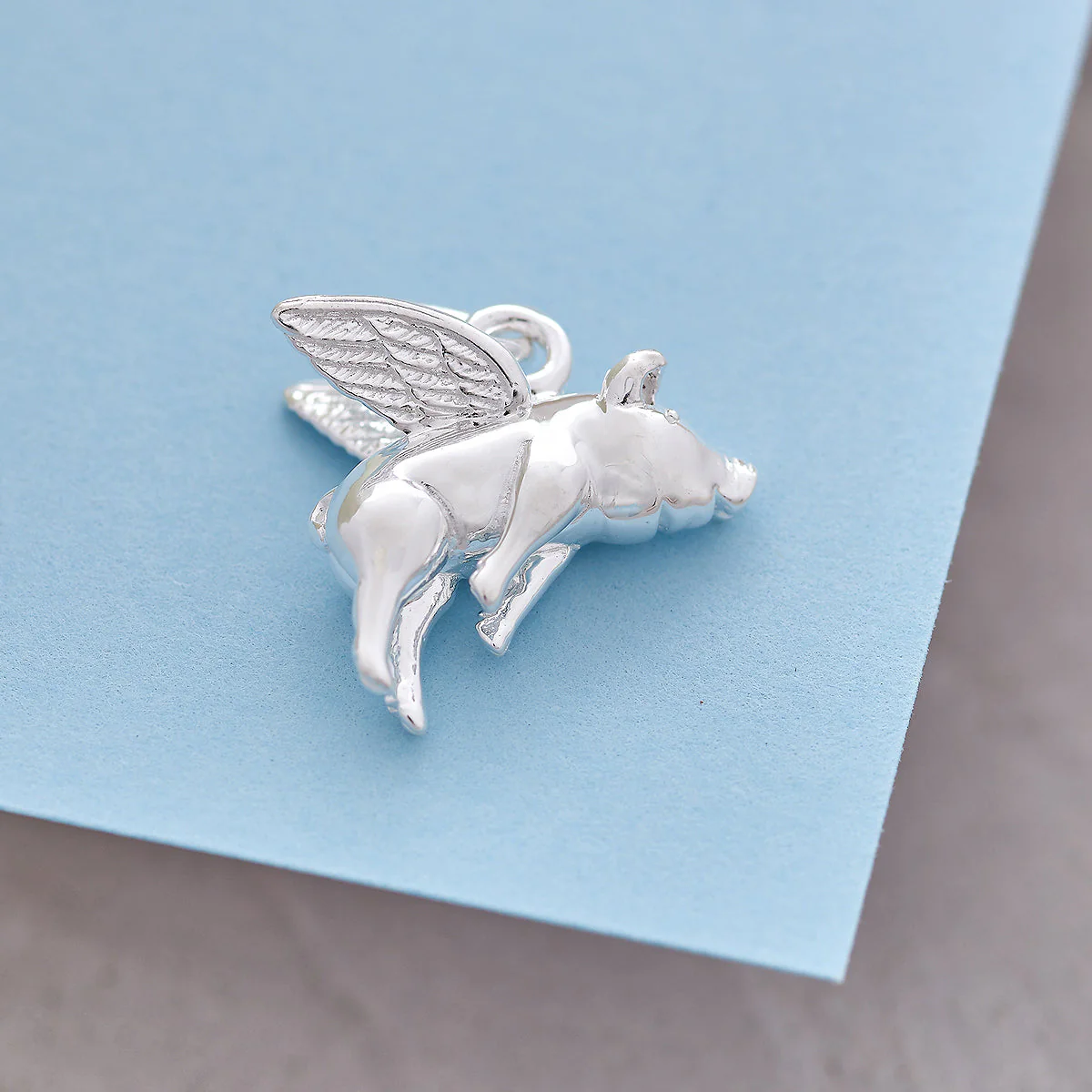 Pigs Might Fly Silver Charm - Image 10