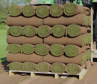 Premier Lawn Turf *Bulk Buy Saver* FREE Pallet Delivery (select pallet amount) - Image 2