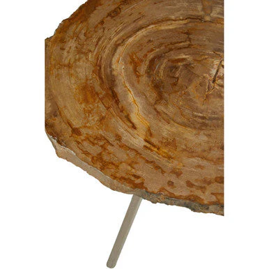 Natural Medium Rustic Petrified Wood Top Side Table with Silver Finish Metal Frame, Relic - Image 6