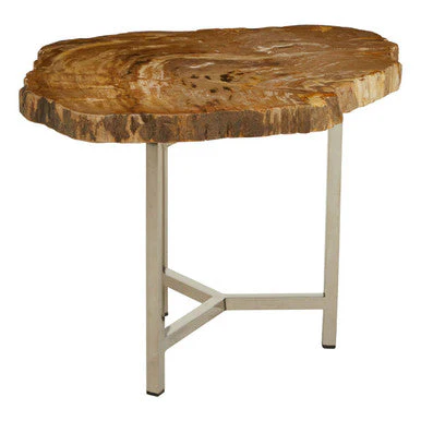 Natural Small Rustic Petrified Wood Top Side Table with Silver Finish Metal Frame, Relic - Image 3