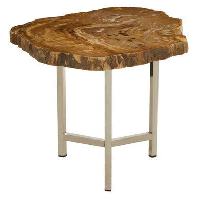 Natural Small Rustic Petrified Wood Top Side Table with Silver Finish Metal Frame, Relic - Image 4