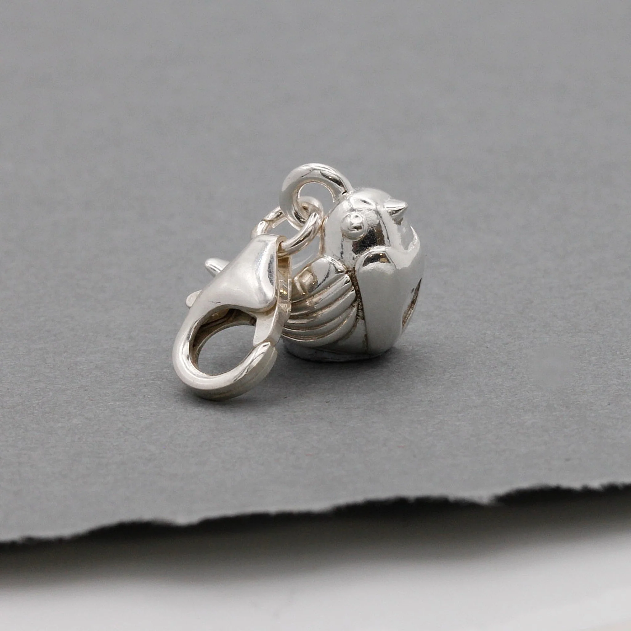 Robin Silver Charm - Image 6