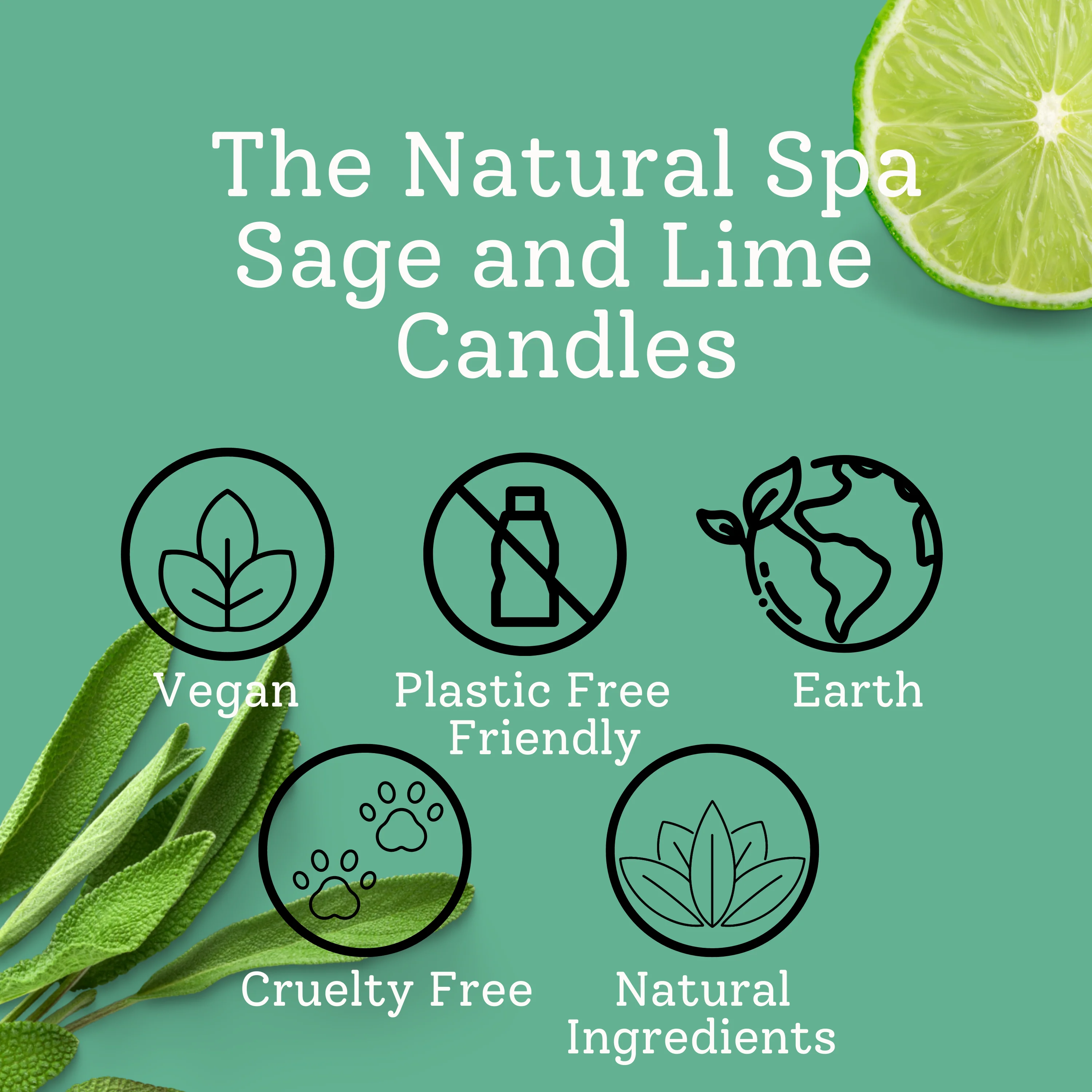 Sage & Lime hand poured coconut wax candle - 2 size options - Image 6