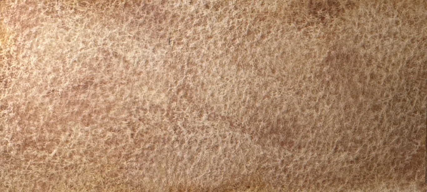 Sahara - Image 3