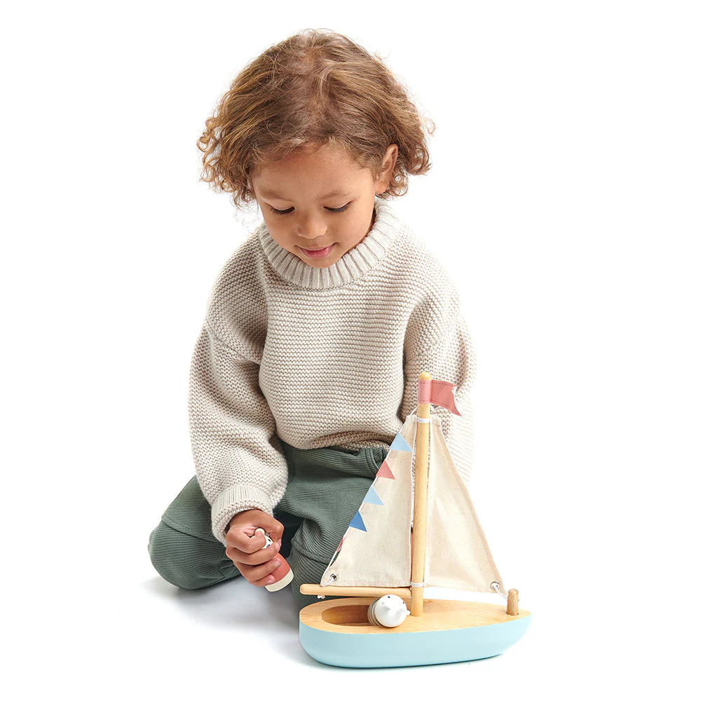 Sailway Boat - Image 2