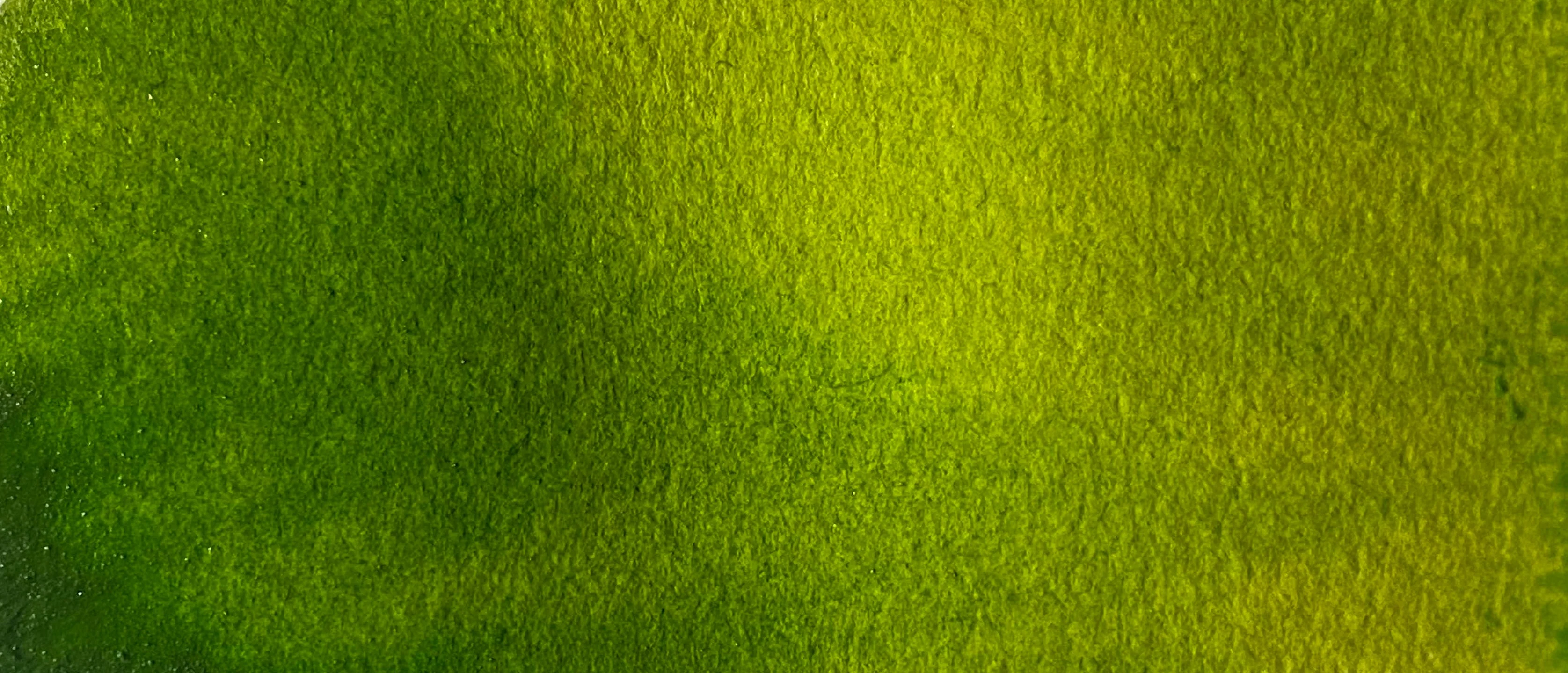 Sap Green - Image 2