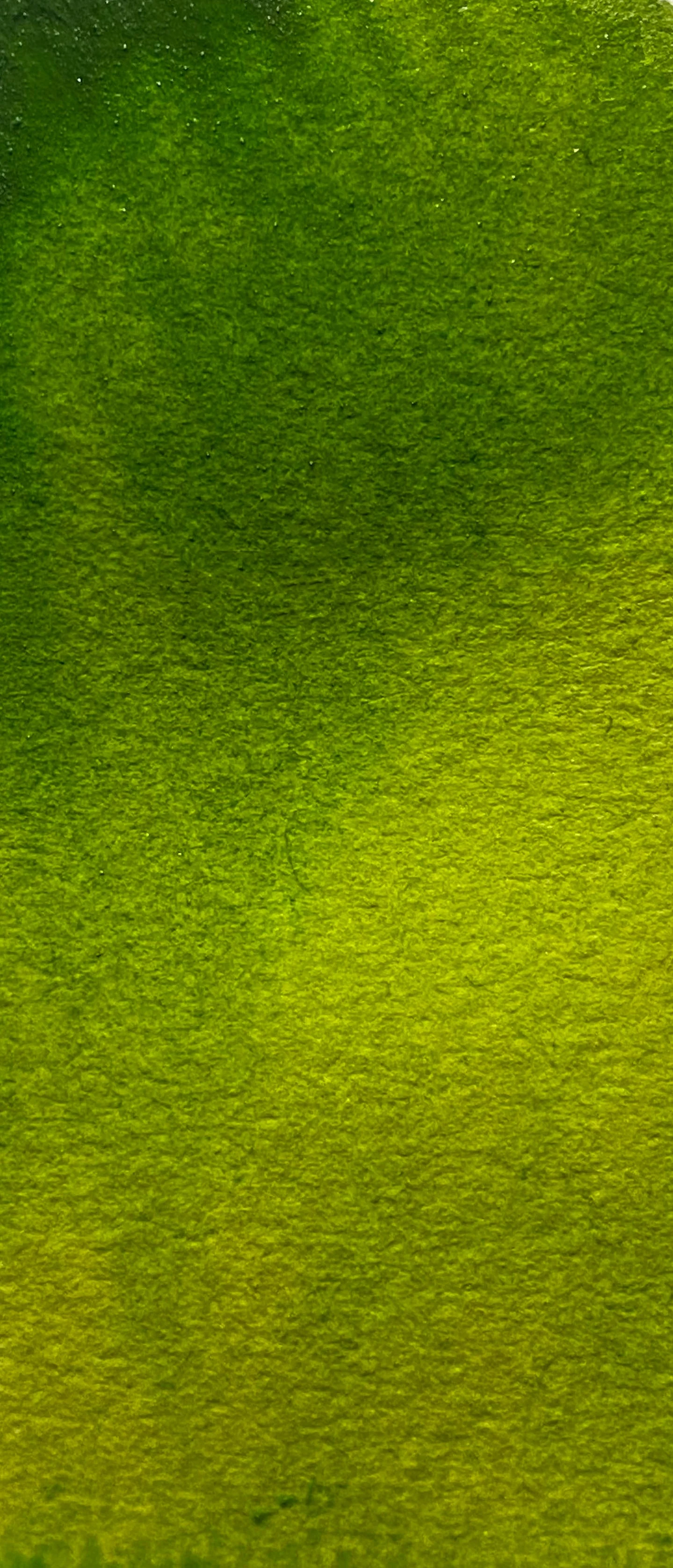 Sap Green - Image 3
