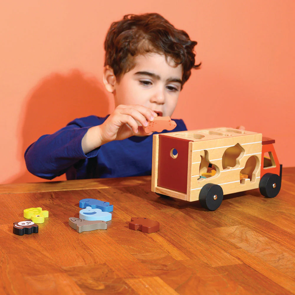 Shape Sorting Safari Truck - Image 6