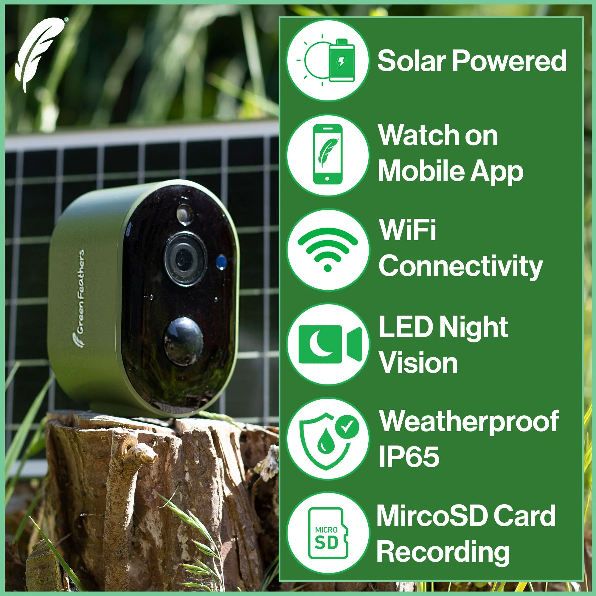 Solar Powered WiFi Bird Box HD Camera Complete Pack - Image 3