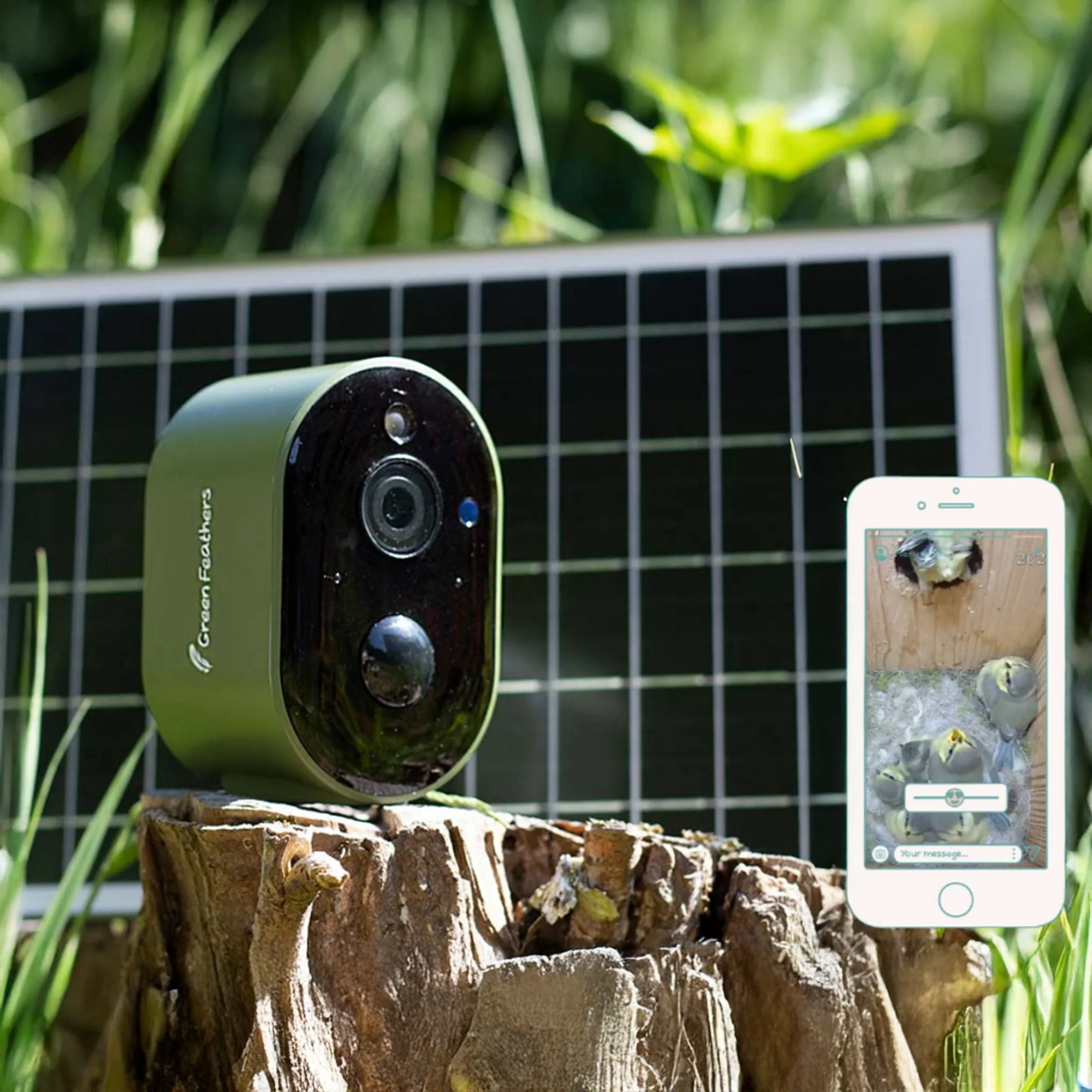 Solar Powered WiFi Bird Box HD Camera Complete Pack - Image 6