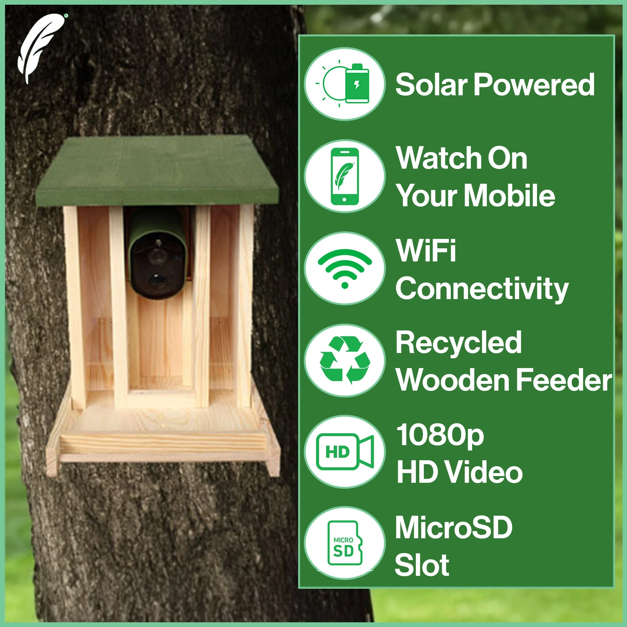 Solar Powered WiFi Camera Wooden Bird Feeder Kit - Image 3