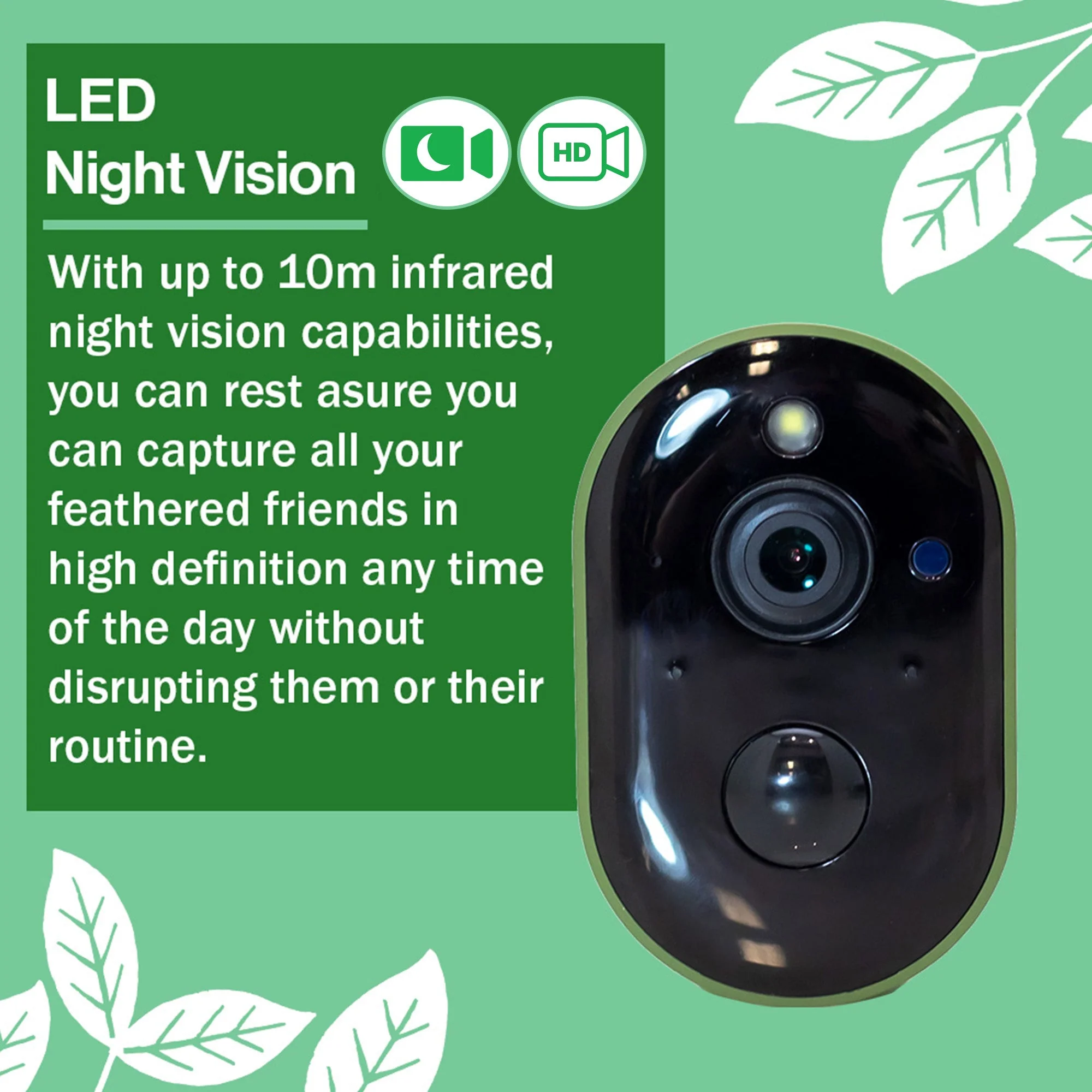 Solar Powered WiFi HD Camera for Bird Box & Wildlife Habitats - Image 5