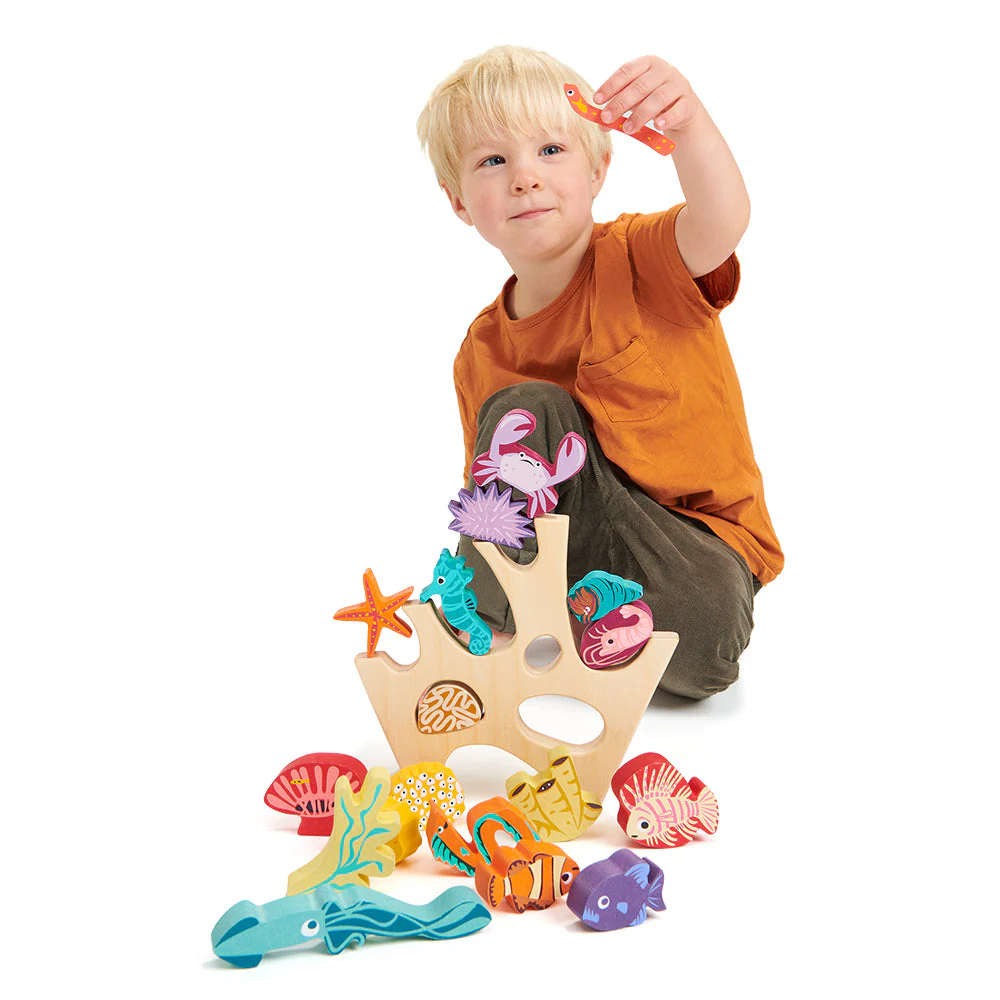 Stacking Coral Reef - Image 8