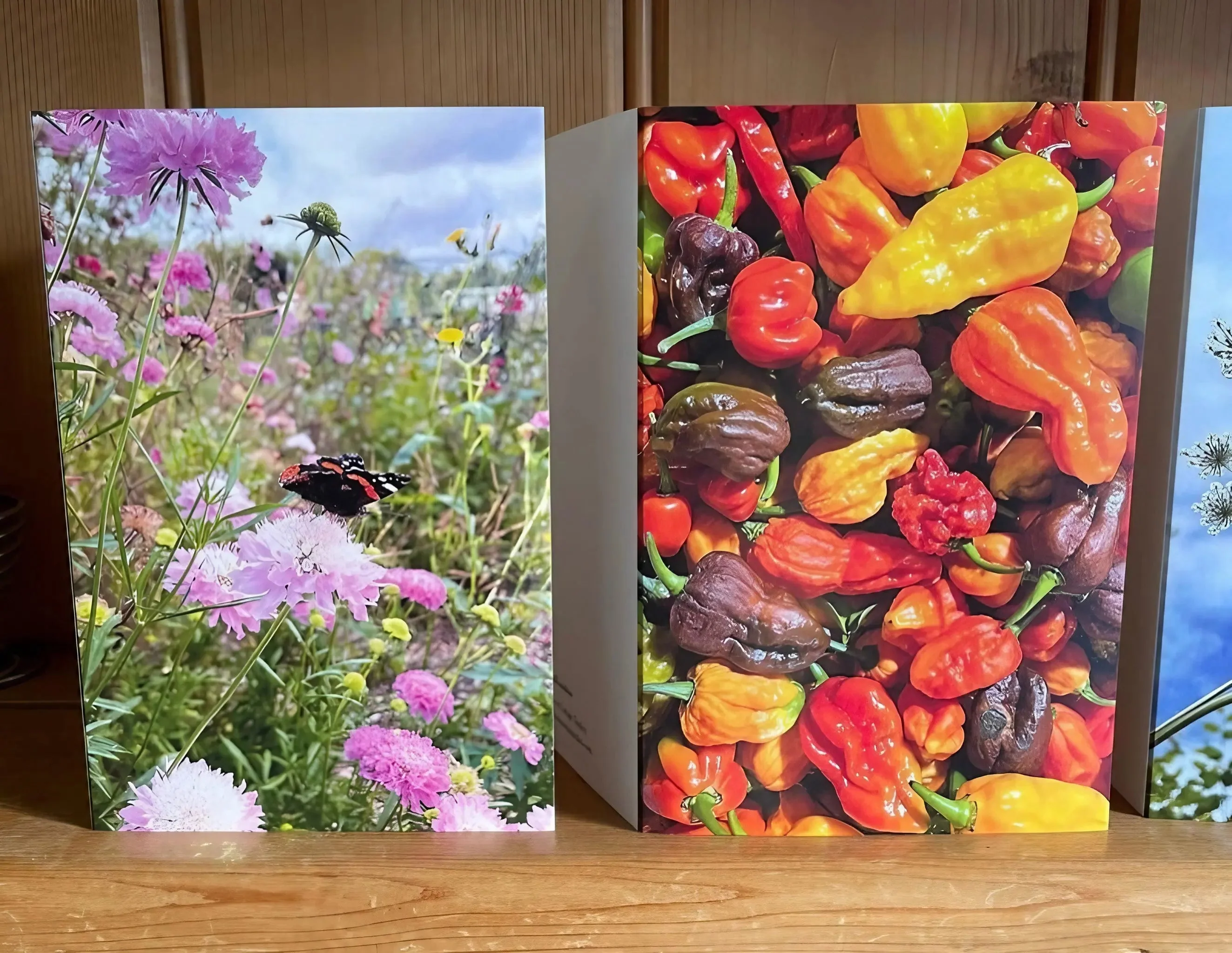 Summers Day Greeting Card - Image 5