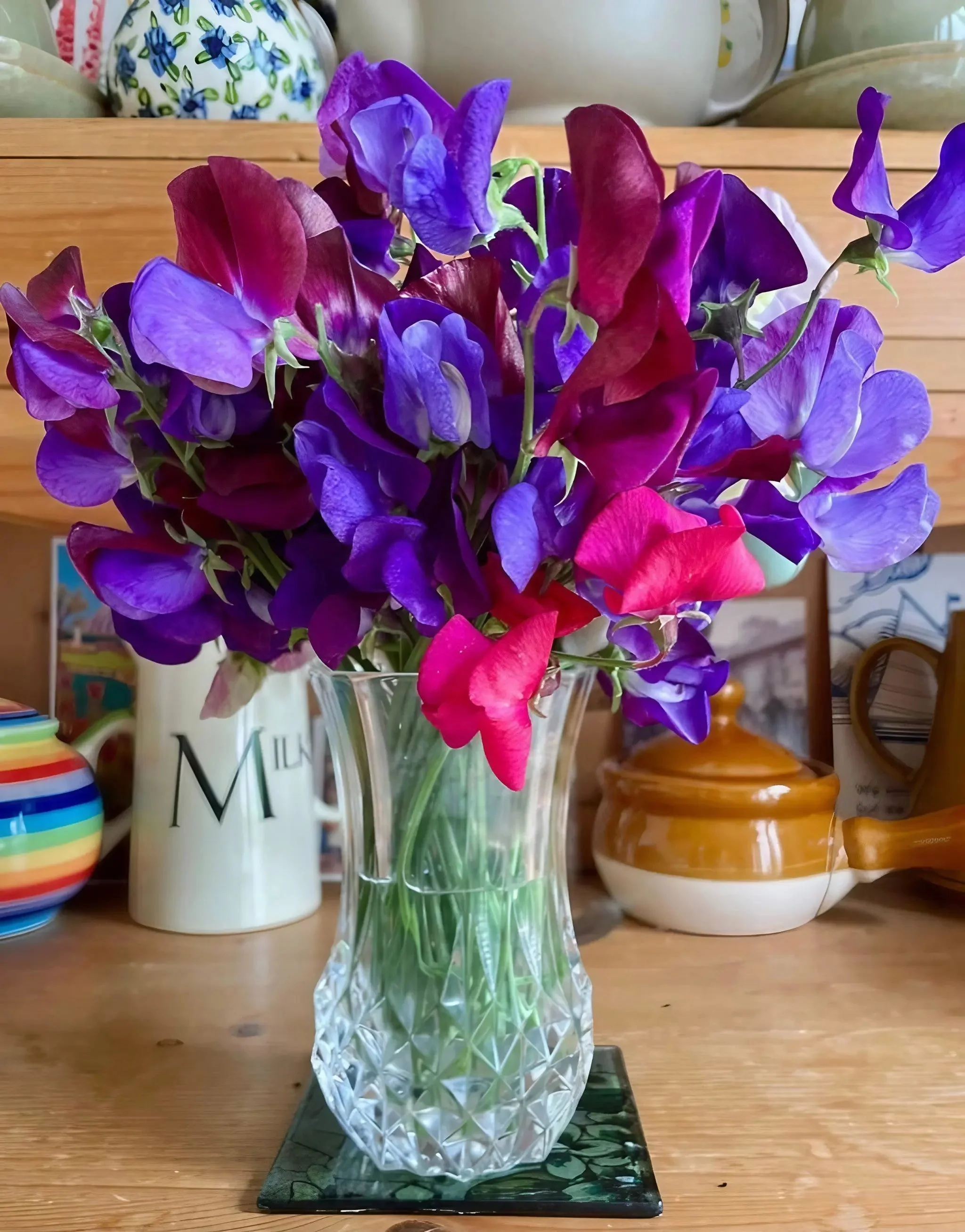 Sweet Pea Old Spice Starry Night - Image 8