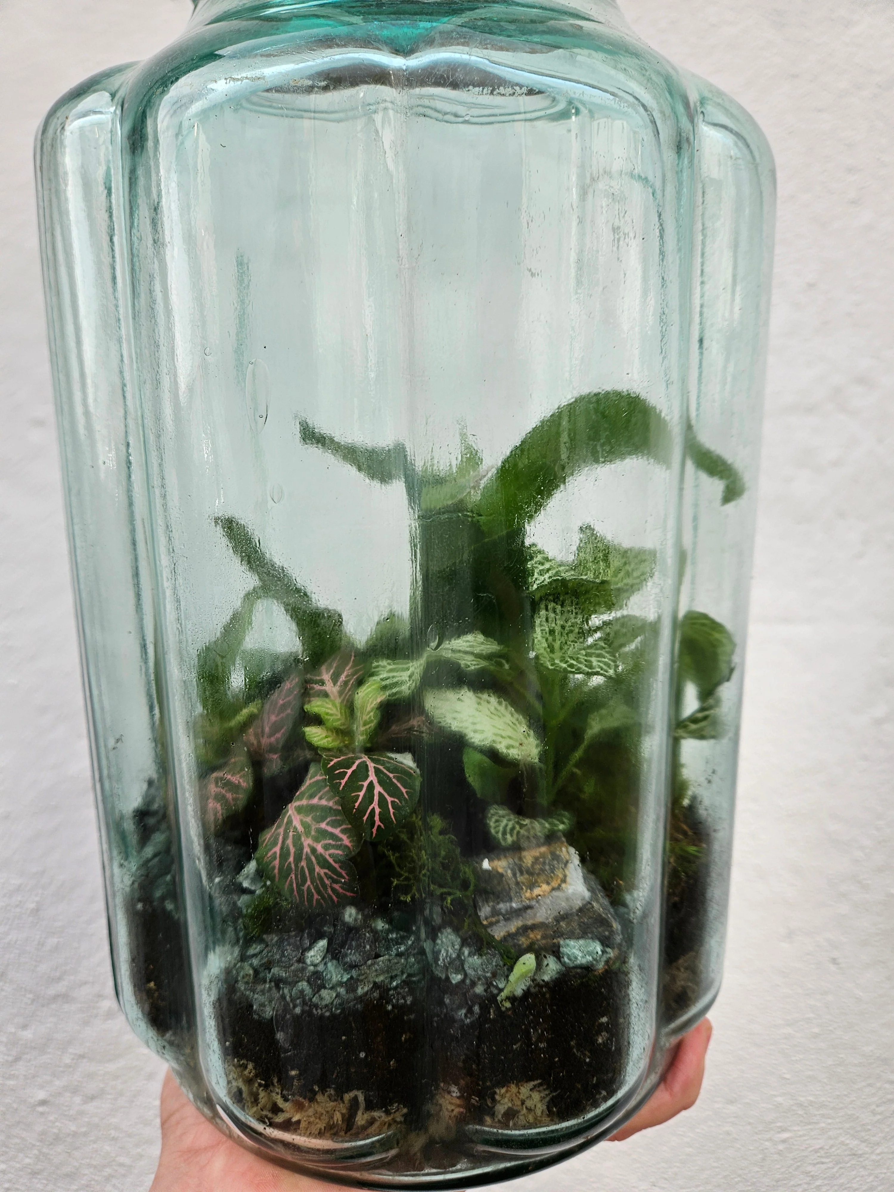 Tall Vintage Blue Bubble Glass Closed Terrarium - Image 3