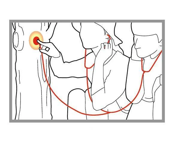 Twin Stethoscope - Image 2
