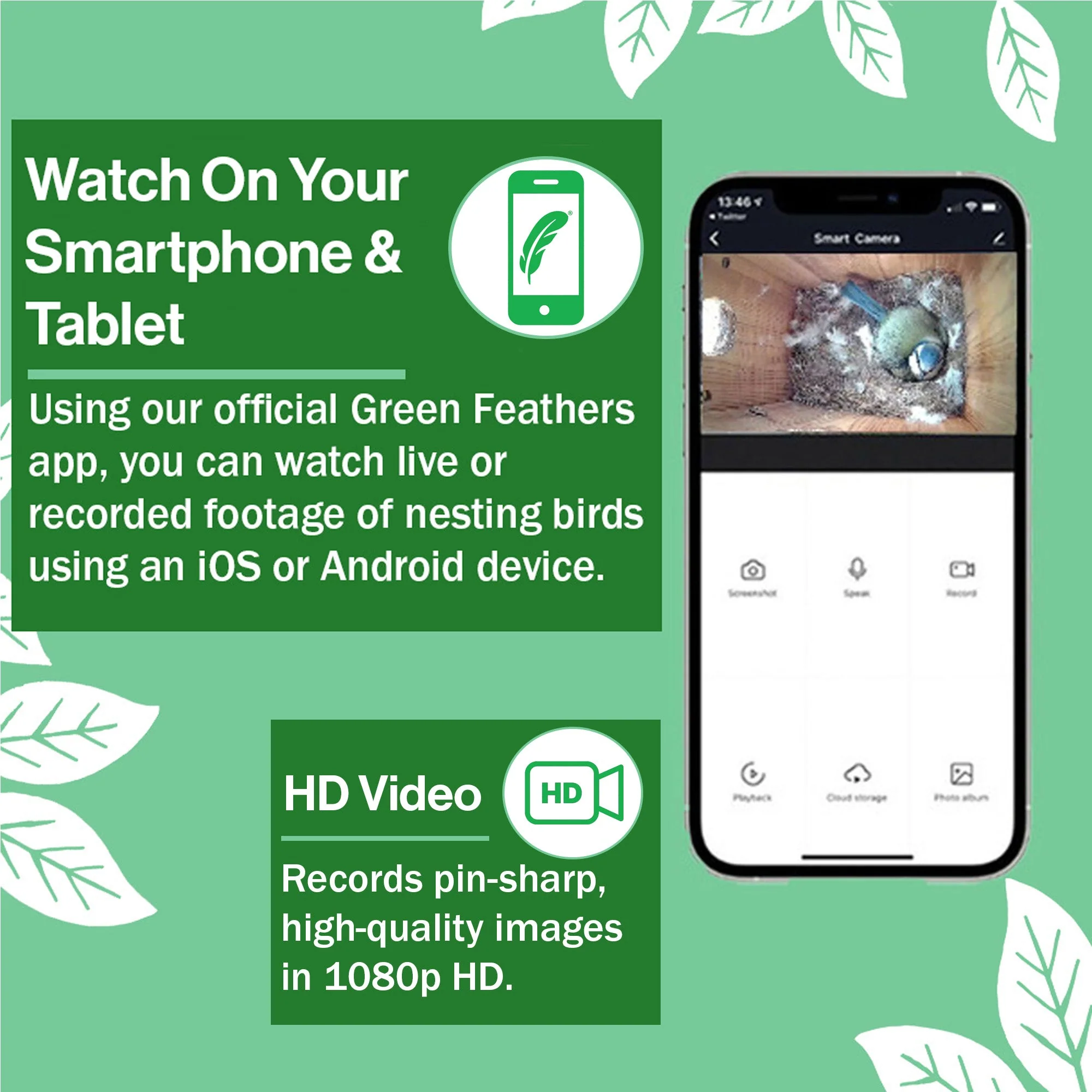 WiFi Bird Box HD Camera Complete Pack - Image 4