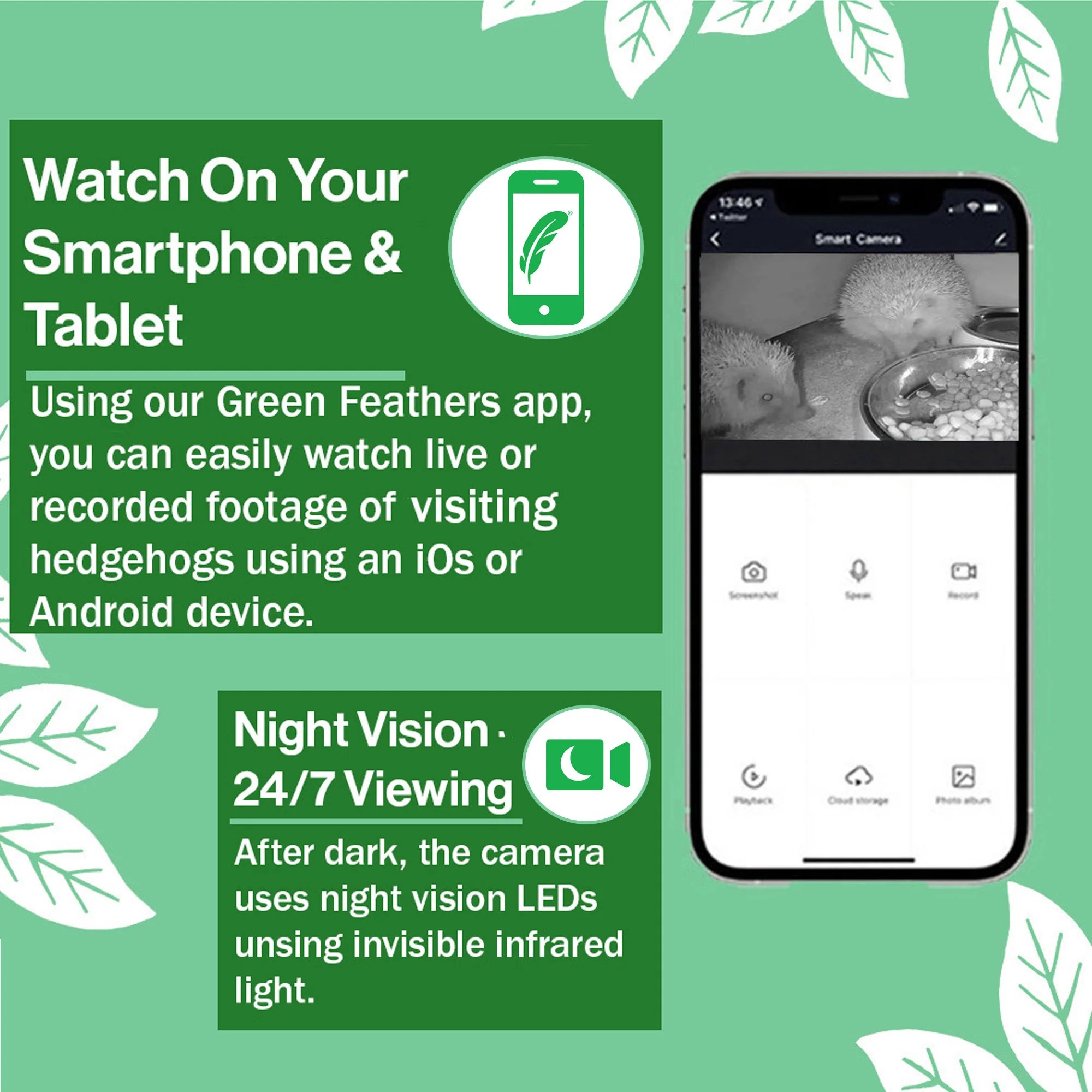 WiFi Hedgehog Box HD Camera Pack - Image 6
