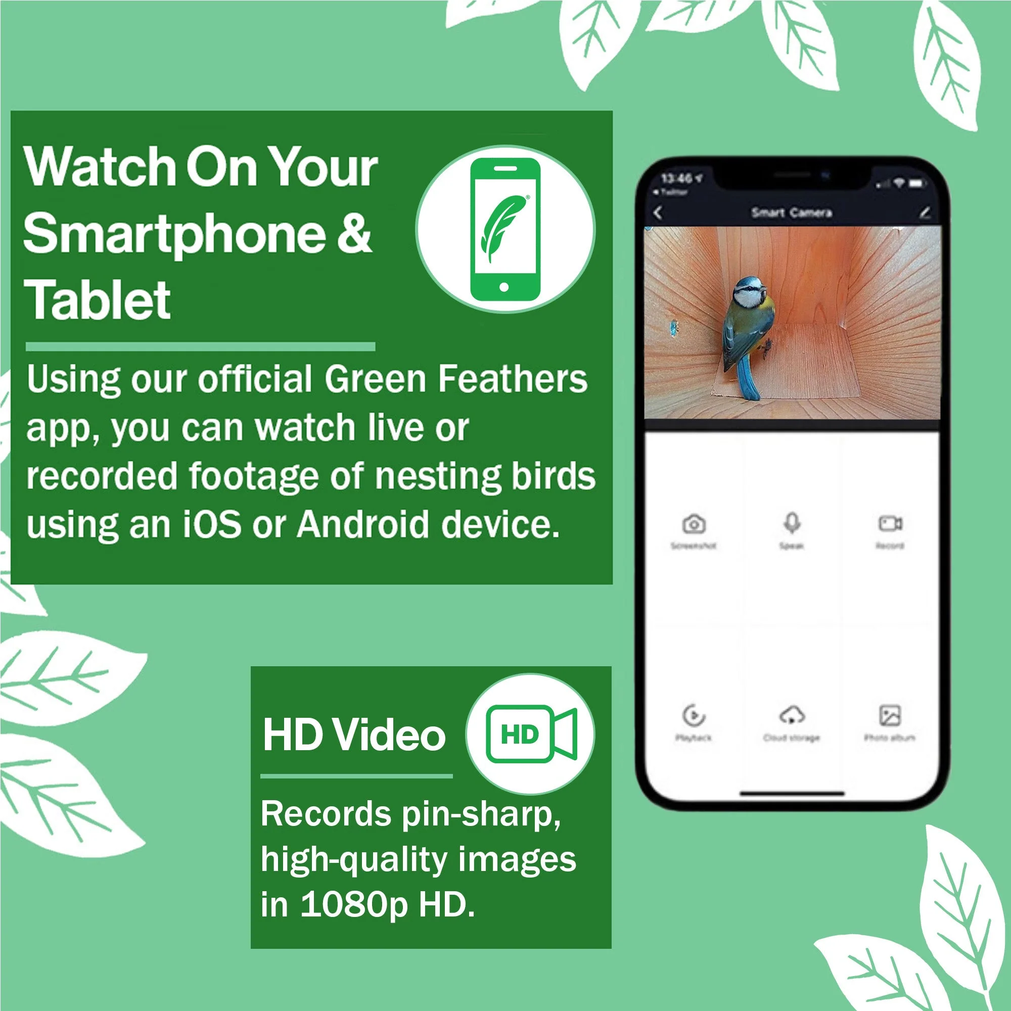 WiFi Side View Bird Box Starter Pack - Image 5