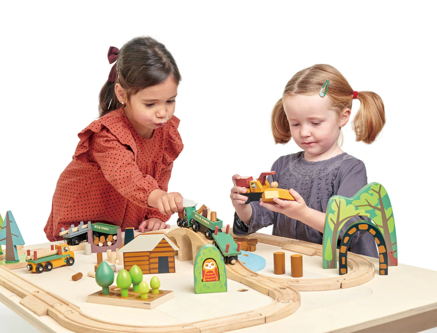 Wild Pines Train Set - Image 6