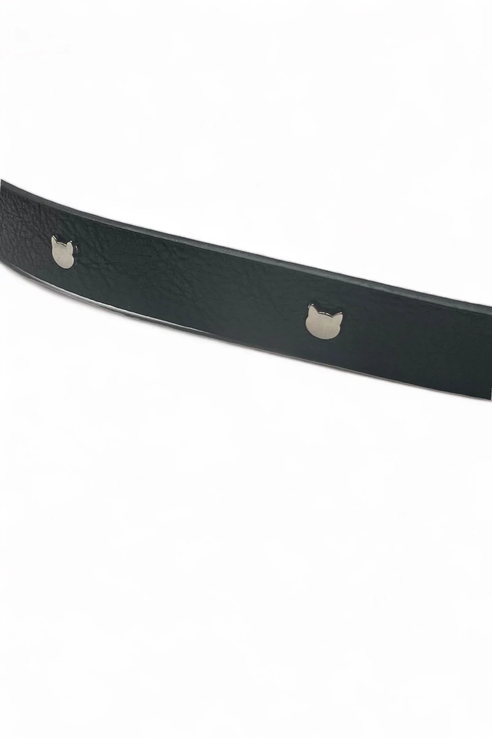 Wilma Cat Stud Black Belt - Image 3