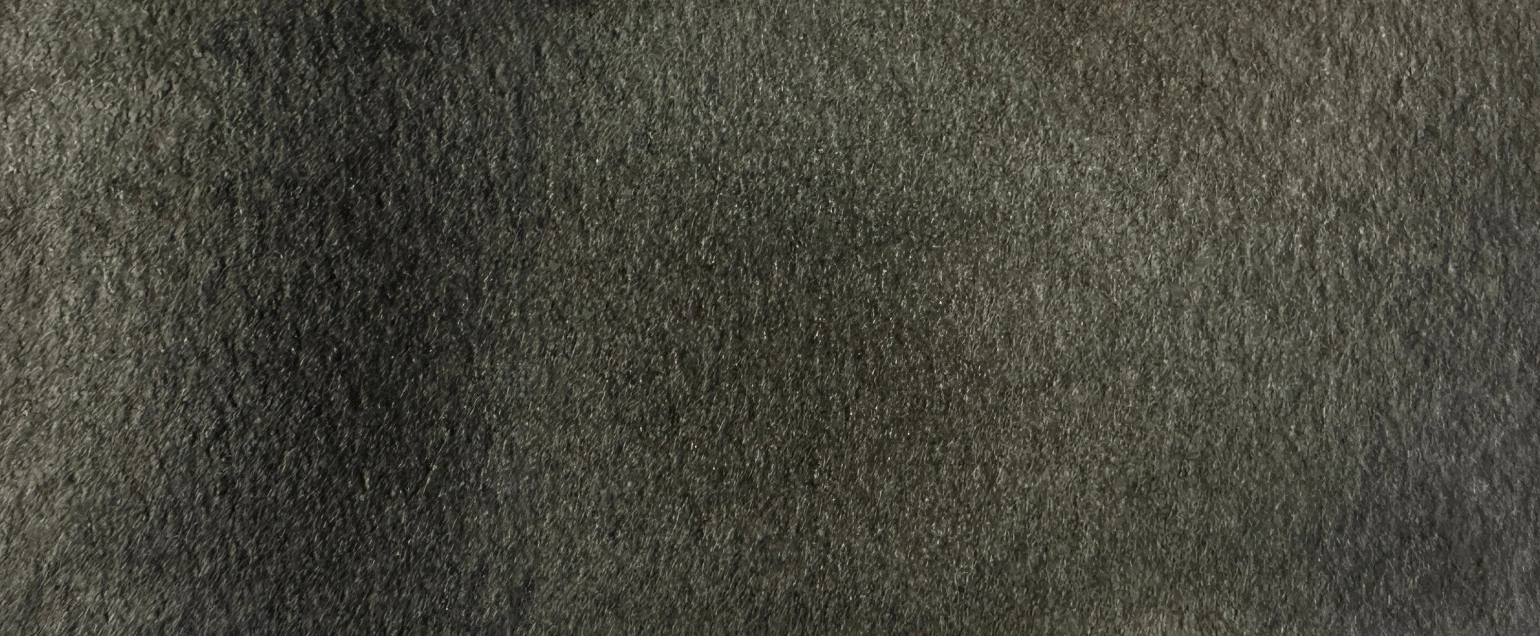 Winter Bark - Image 3