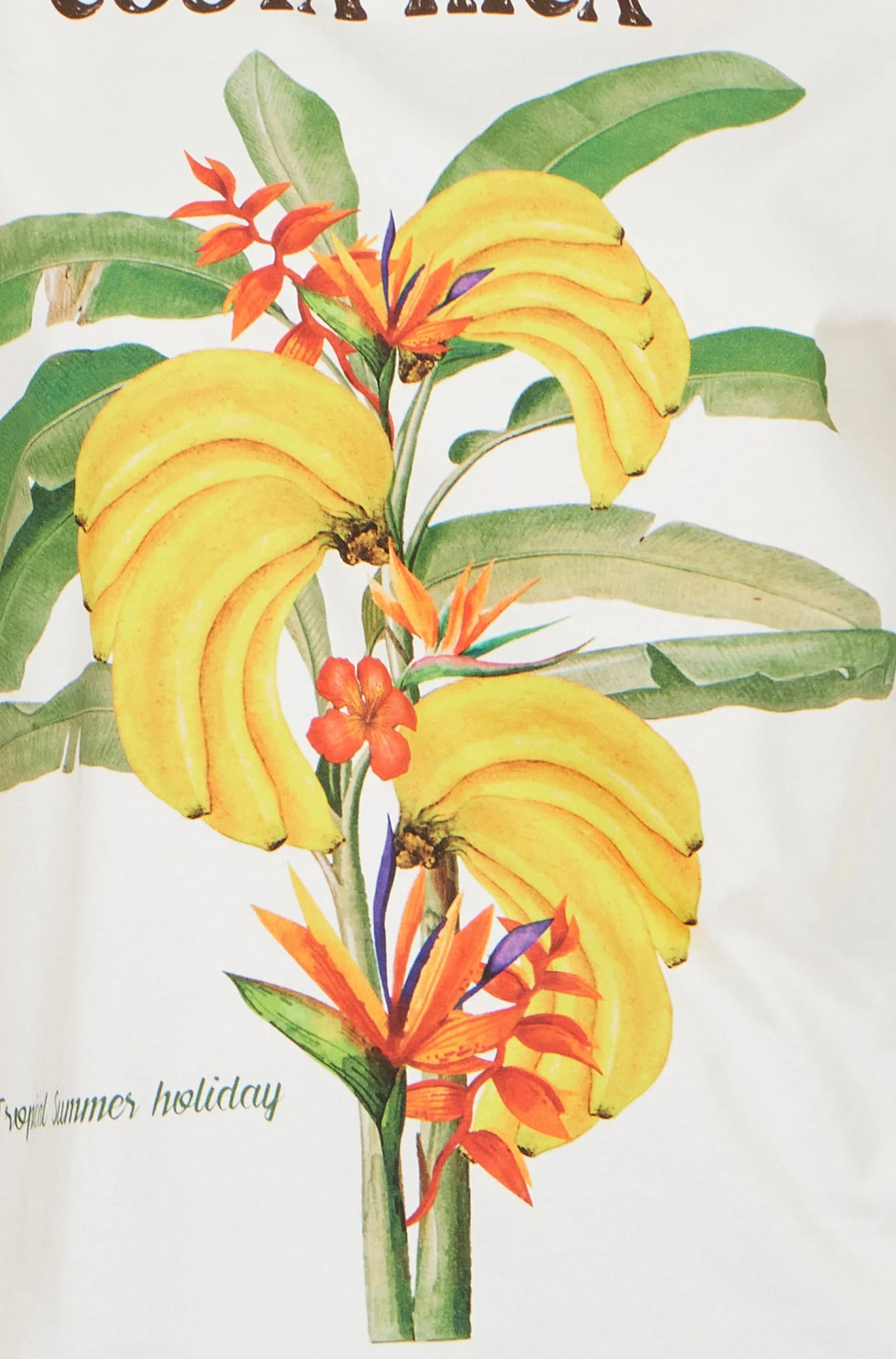 Yumi White Costa Rica Cotton T Shirt - Image 6